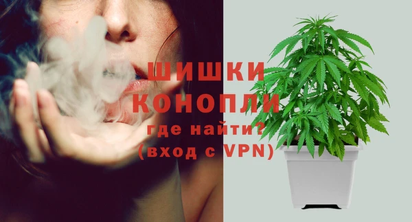 прущие грибы Бугульма