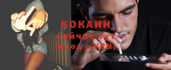 прущие грибы Бугульма