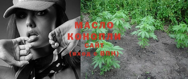 стафф Верхний Тагил