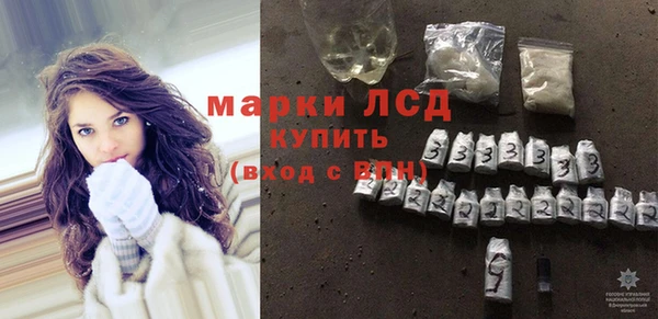 spice Богородицк