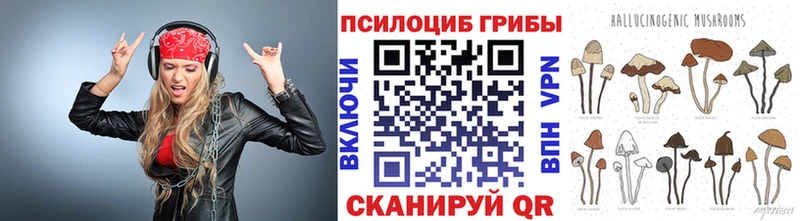 Псилоцибиновые грибы мицелий  Железногорск-Илимский 
